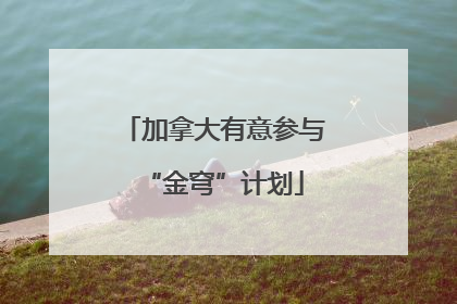 加拿大有意参与“金穹”计划