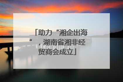助力“湘企出海”，湖南省湘非经贸商会成立
