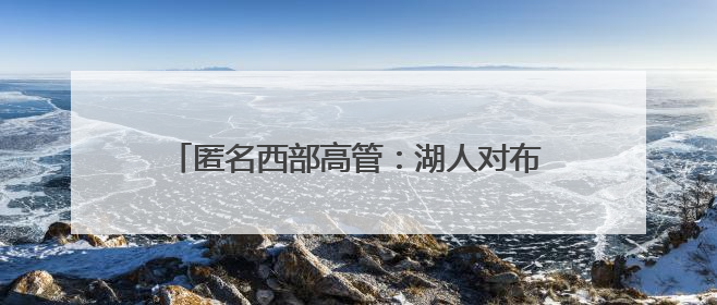 匿名西部高管：湖人对布朗尼有明确的培养计划