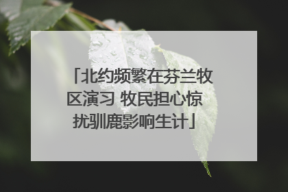 北约频繁在芬兰牧区演习 牧民担心惊扰驯鹿影响生计