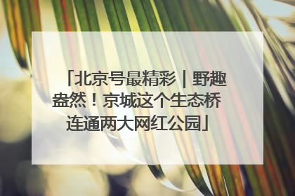北京号最精彩｜野趣盎然！京城这个生态桥连通两大网红公园