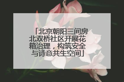 北京朝阳三间房北双桥社区开展花箱治理，构筑安全与诗意共生空间