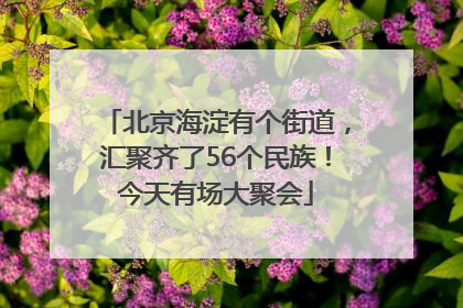 北京海淀有个街道，汇聚齐了56个民族！今天有场大聚会