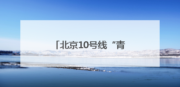 北京10号线“青创村”变身“萌宠欢乐谷” 以宠会友解锁青年社交新范式