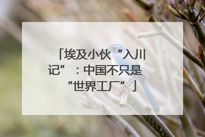 埃及小伙“入川记”：中国不只是“世界工厂”