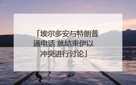 埃尔多安与特朗普通电话 就结束伊以冲突进行讨论