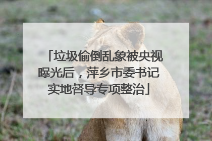 垃圾偷倒乱象被央视曝光后，萍乡市委书记实地督导专项整治