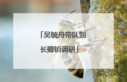 吴毓舟带队到长卿镇调研