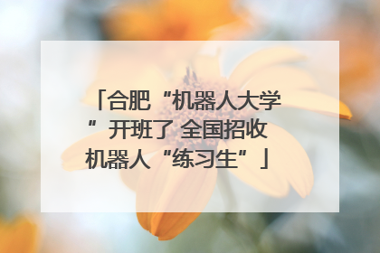 合肥“机器人大学”开班了 全国招收机器人“练习生”