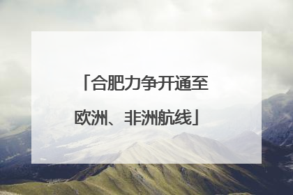 合肥力争开通至欧洲、非洲航线