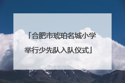 合肥市琥珀名城小学举行少先队入队仪式