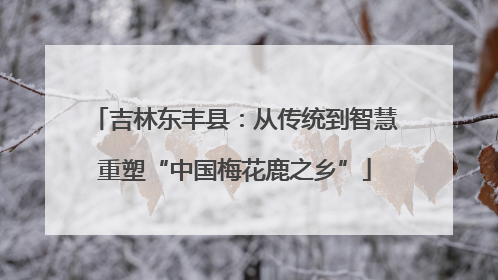 吉林东丰县：从传统到智慧重塑“中国梅花鹿之乡”