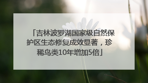 吉林波罗湖国家级自然保护区生态修复成效显著，珍稀鸟类10年增加5倍