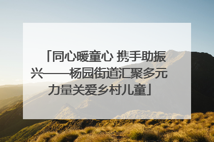 同心暖童心 携手助振兴——杨园街道汇聚多元力量关爱乡村儿童