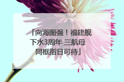 向海图强！福建舰下水3周年 三航母同框指日可待