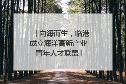 向海而生，临港成立海洋高新产业青年人才联盟
