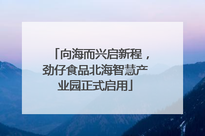 向海而兴启新程，劲仔食品北海智慧产业园正式启用