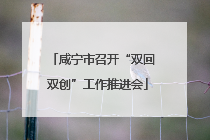 咸宁市召开“双回双创”工作推进会