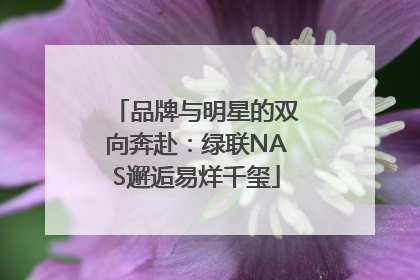 品牌与明星的双向奔赴：绿联NAS邂逅易烊千玺