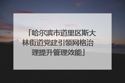 哈尔滨市道里区斯大林街道党建引领网格治理提升管理效能