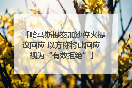 哈马斯提交加沙停火提议回应 以方称将此回应视为“有效拒绝”