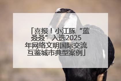 喜报！小江豚“蓝叒叒”入选2025年网络文明国际交流互鉴城市典型案例