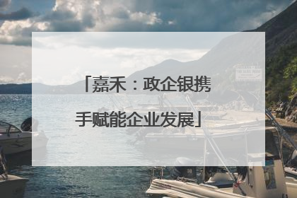 嘉禾：政企银携手赋能企业发展