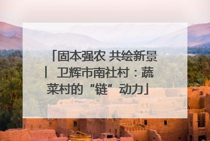 固本强农 共绘新景 ︳卫辉市南社村：蔬菜村的“链”动力