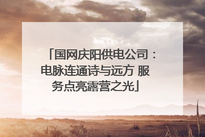 国网庆阳供电公司：电脉连通诗与远方 服务点亮露营之光