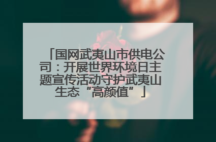 国网武夷山市供电公司：开展世界环境日主题宣传活动守护武夷山生态“高颜值”