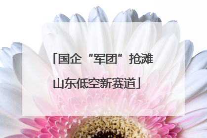 国企“军团”抢滩山东低空新赛道