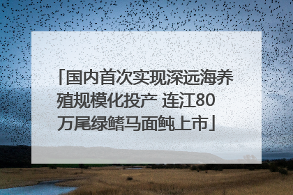 国内首次实现深远海养殖规模化投产 连江80万尾绿鳍马面鲀上市