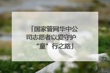 国家管网华中公司志愿者以爱守护“童”行之路