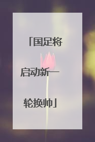 国足将启动新一轮换帅
