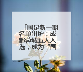 国足新一期名单出炉：成都蓉城五人入选，成为“国脚大户”！