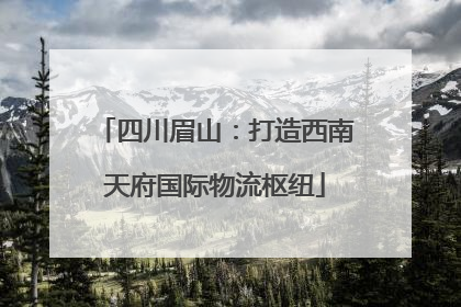四川眉山：打造西南天府国际物流枢纽