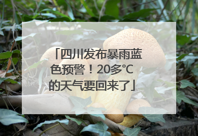 四川发布暴雨蓝色预警！20多℃的天气要回来了