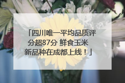 四川唯一平均品质评分超87分 鲜食玉米新品种在成都上线！