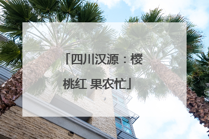 四川汉源：樱桃红 果农忙