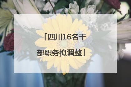 四川16名干部职务拟调整