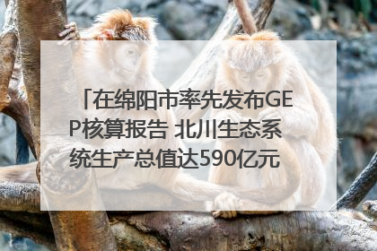 在绵阳市率先发布GEP核算报告 北川生态系统生产总值达590亿元｜新闻发布最前线