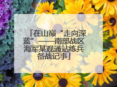在山巅“走向深蓝”——南部战区海军某观通站练兵备战记事