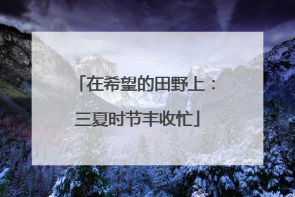 在希望的田野上：三夏时节丰收忙