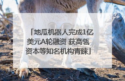地瓜机器人完成1亿美元A轮融资 获高瓴资本等知名机构青睐