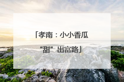 孝南：小小香瓜 “甜”出富路