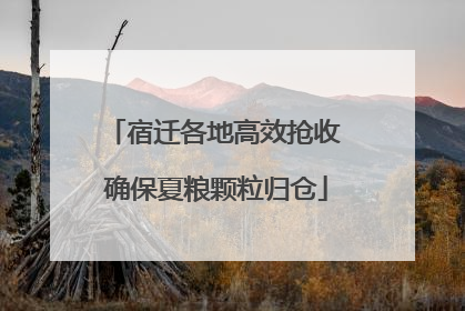 宿迁各地高效抢收 确保夏粮颗粒归仓