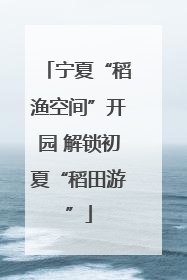宁夏“稻渔空间”开园 解锁初夏“稻田游”