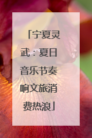宁夏灵武：夏日音乐节奏响文旅消费热浪