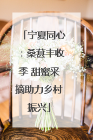 宁夏同心：桑葚丰收季 甜蜜采摘助力乡村振兴