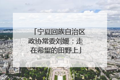 宁夏回族自治区政协常委刘媛：走在希望的田野上